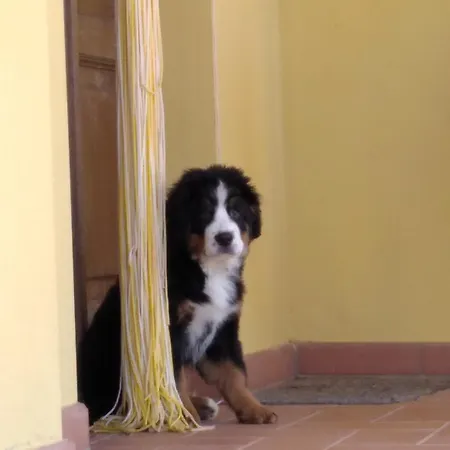 La Casa Di Cleo Casa de Férias